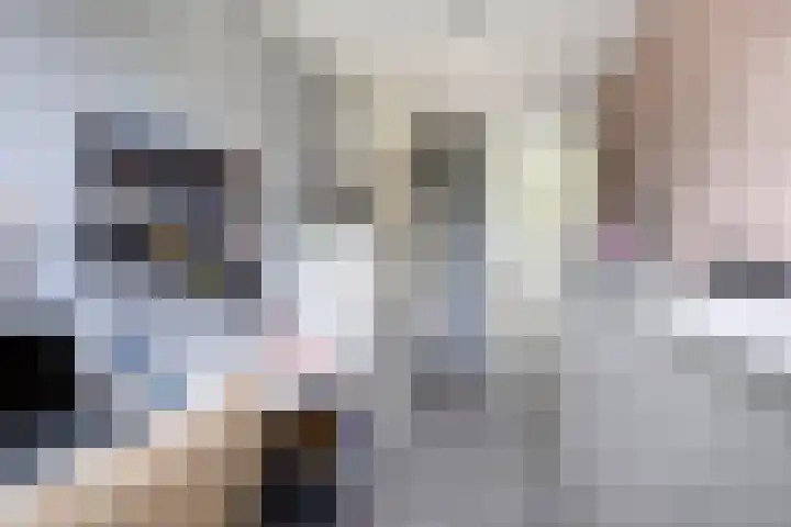 Dreef 68 Biddinghuizen thumbnail 26
