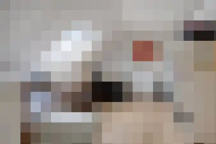 Dreef 68 Biddinghuizen thumbnail 30