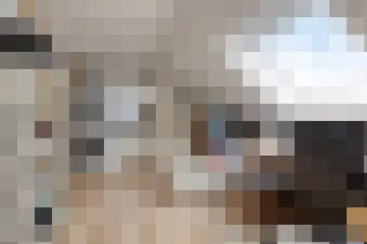 Dreef 68 Biddinghuizen thumbnail 31