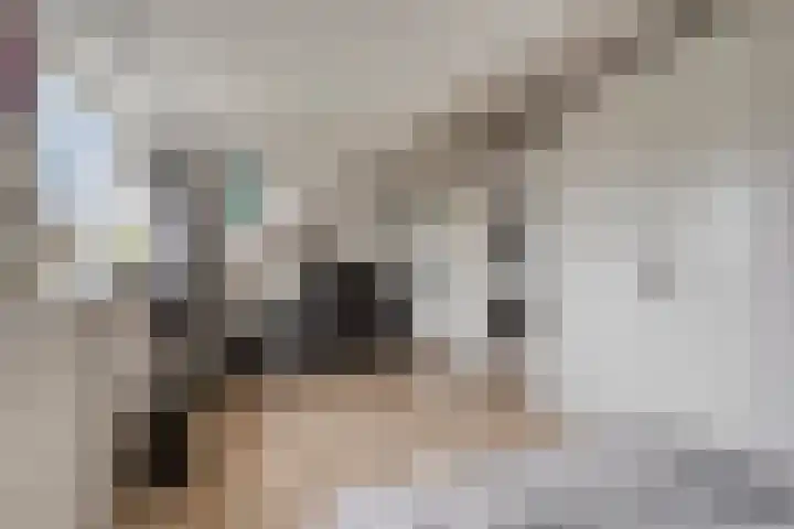 Dreef 68 Biddinghuizen thumbnail 33