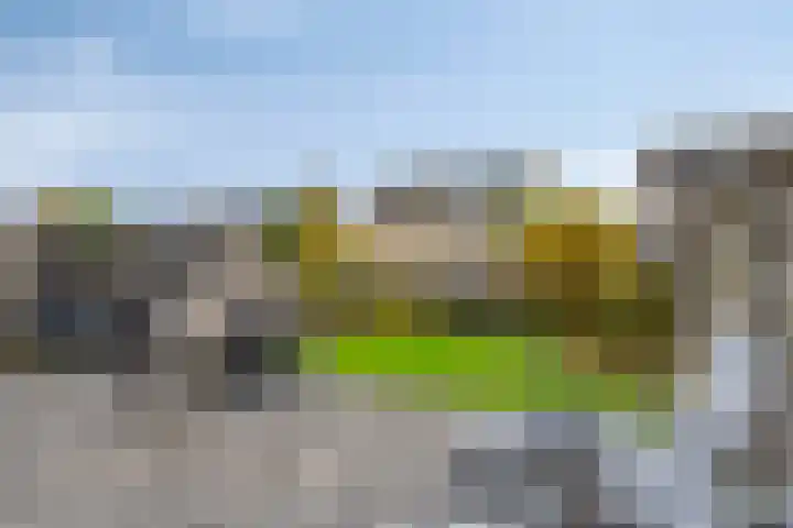 Dreef 68 Biddinghuizen thumbnail 34