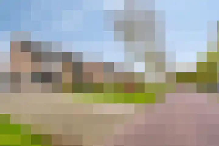 Dreef 68 Biddinghuizen thumbnail 38