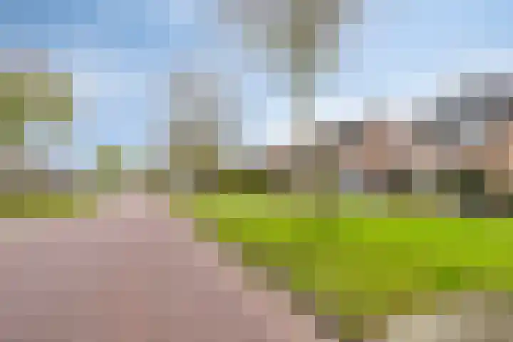 Dreef 68 Biddinghuizen thumbnail 42