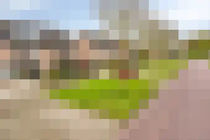 Dreef 68 Biddinghuizen thumbnail 43