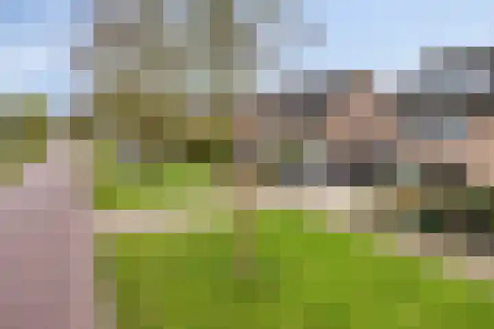 Dreef 68 Biddinghuizen thumbnail 44
