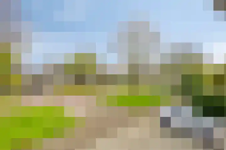 Dreef 68 Biddinghuizen thumbnail 45