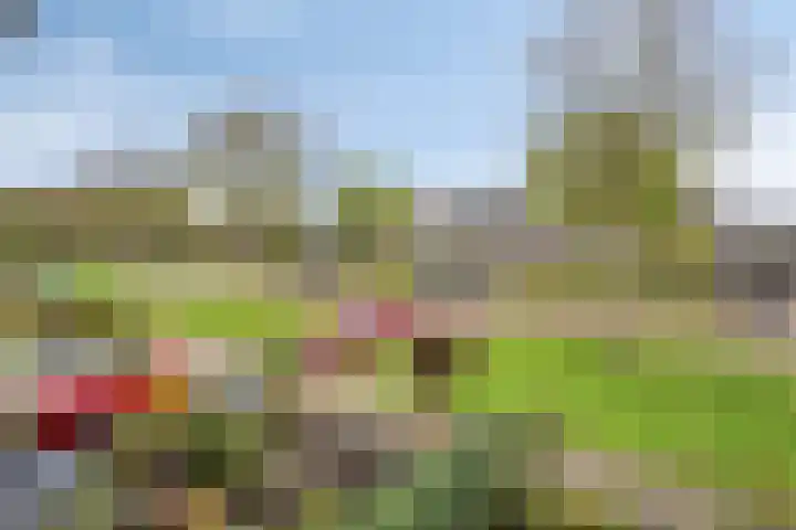 Dreef 68 Biddinghuizen thumbnail 46