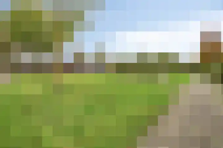 Dreef 68 Biddinghuizen thumbnail 47