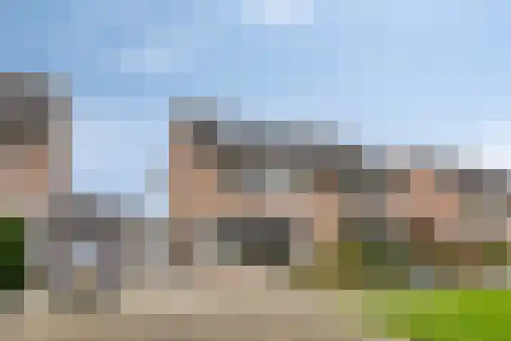 Dreef 68 Biddinghuizen thumbnail 5