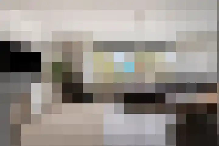 Dreef 68 Biddinghuizen thumbnail 8