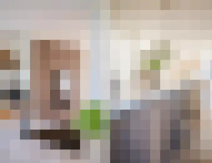 Dreef 69 Eersel thumbnail 10