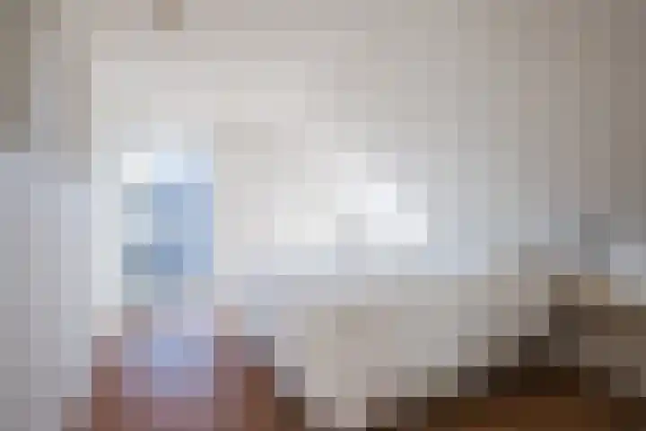 Dreef 69 Eersel thumbnail 24