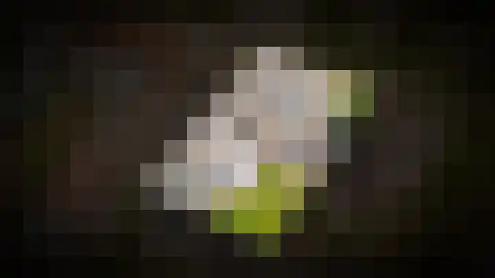Dreef 69 Eersel thumbnail 25
