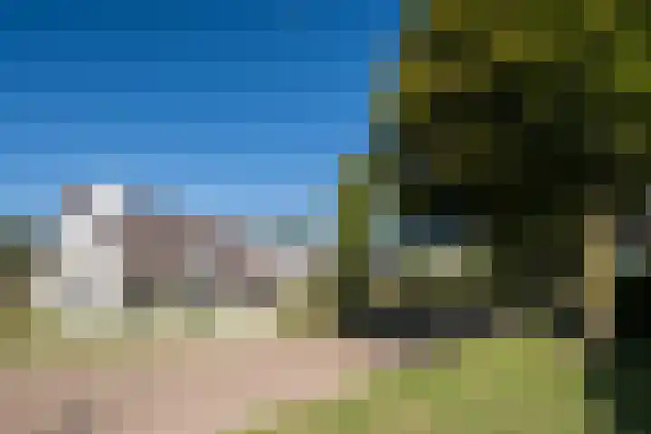 Dreef 69 Eersel thumbnail 4