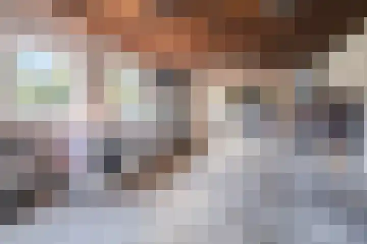 Dreef 69 Eersel thumbnail 40