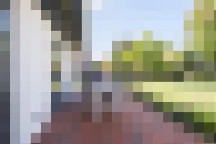 Dreef 69 Eersel thumbnail 42
