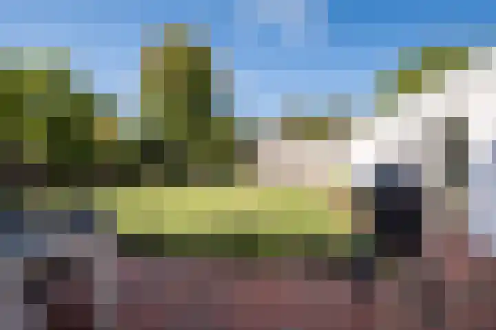 Dreef 69 Eersel thumbnail 43