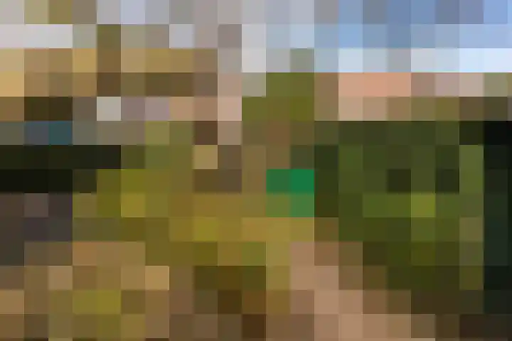 Dreef 69 Eersel thumbnail 44