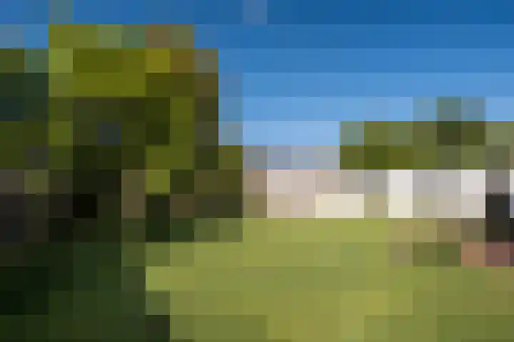 Dreef 69 Eersel thumbnail 47