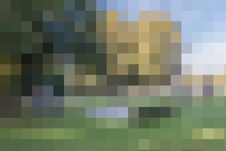 Dreef 69 Eersel thumbnail 51