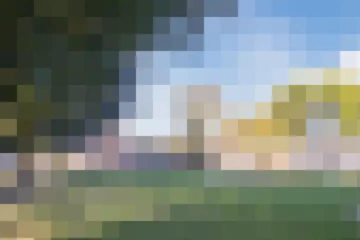 Dreef 69 Eersel thumbnail 52