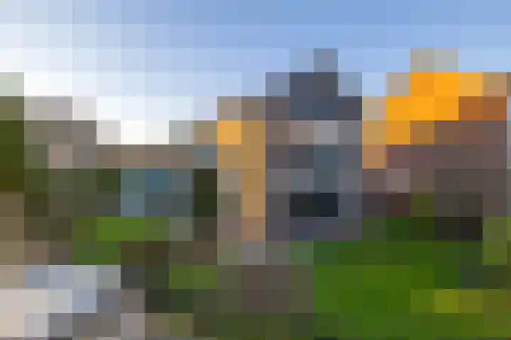 Dreef 69 Eersel thumbnail 9