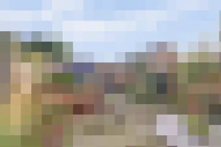 Dreef 7 Leersum thumbnail 38