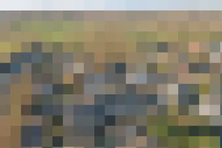 Dreef 7 Leersum thumbnail 46
