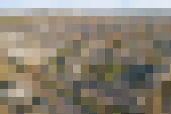 Dreef 7 Leersum thumbnail 47