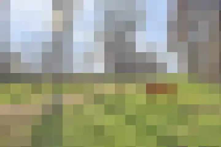 Dreef 7 Leersum thumbnail 49