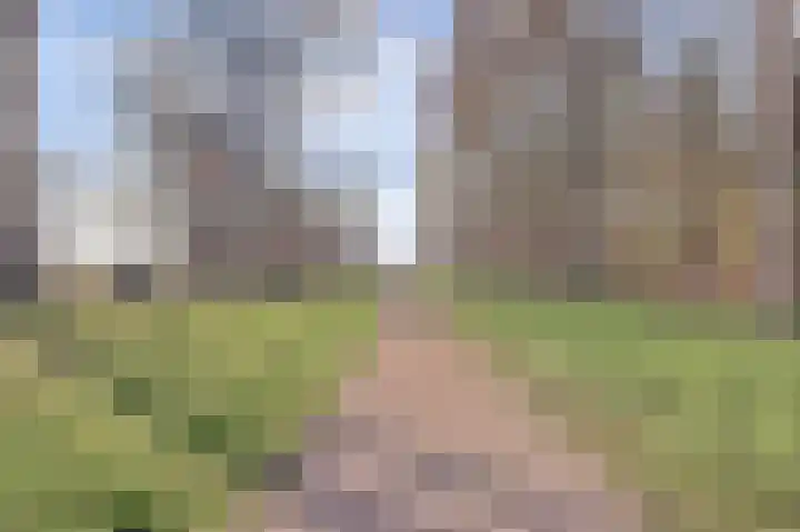 Dreef 7 Leersum thumbnail 50