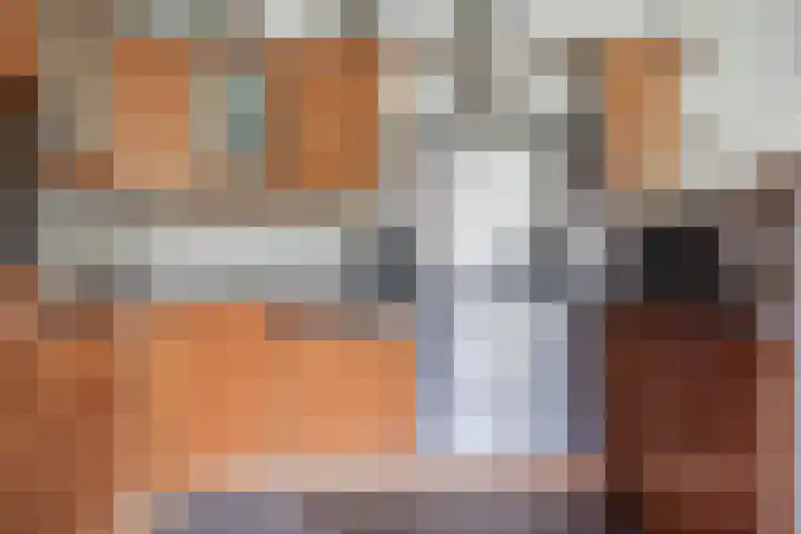 Dreef 7 't Veld thumbnail 11