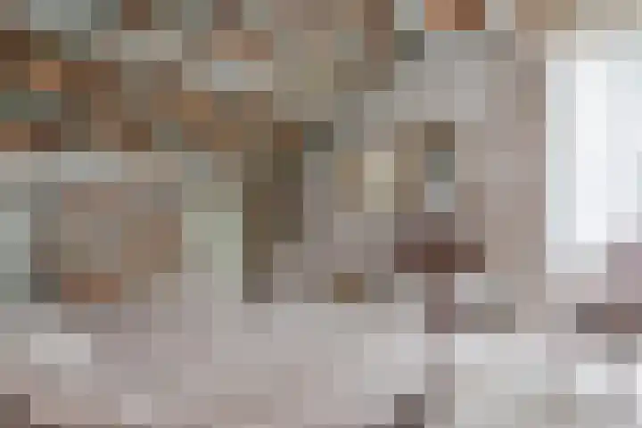 Dreef 7 't Veld thumbnail 18