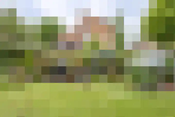 Dreef 7 't Veld thumbnail 25