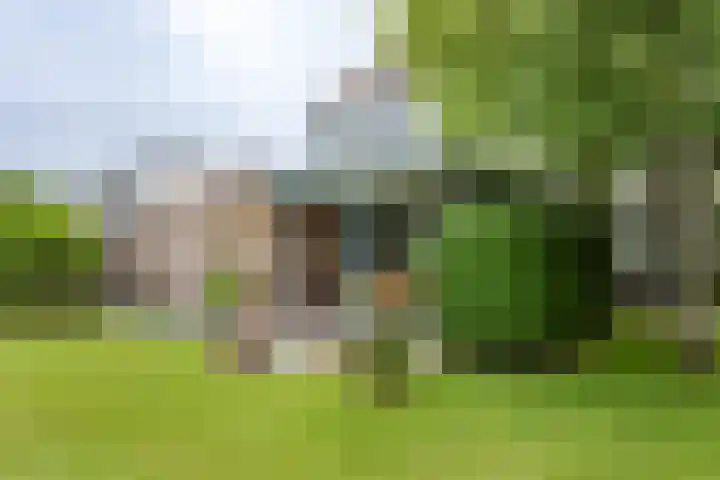 Dreef 7 't Veld thumbnail 26