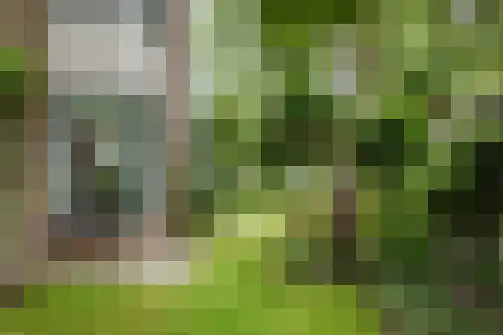 Dreef 7 't Veld thumbnail 27