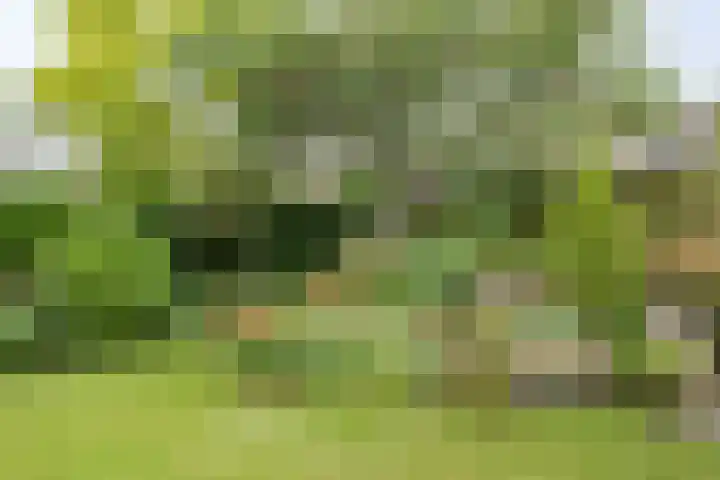 Dreef 7 't Veld thumbnail 28