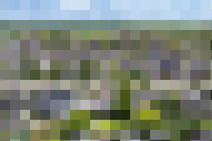 Dreef 7 't Veld thumbnail 29