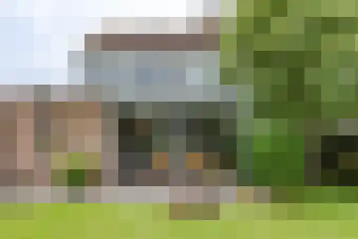 Dreef 7 't Veld foto 3