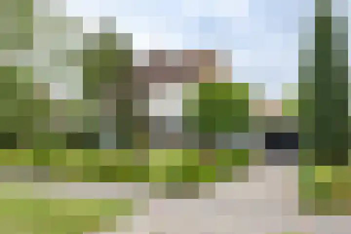 Dreef 7 't Veld thumbnail 30