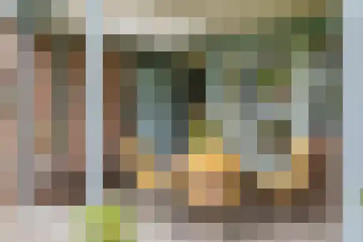 Dreef 7 't Veld thumbnail 4