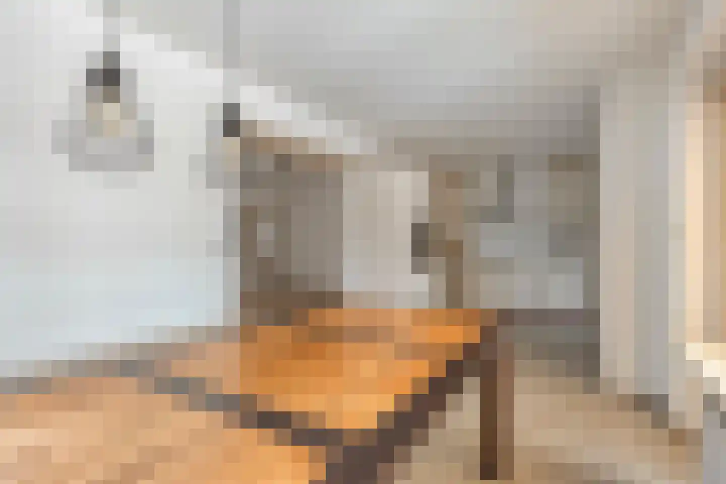 Dreef 70 Castenray thumbnail 10