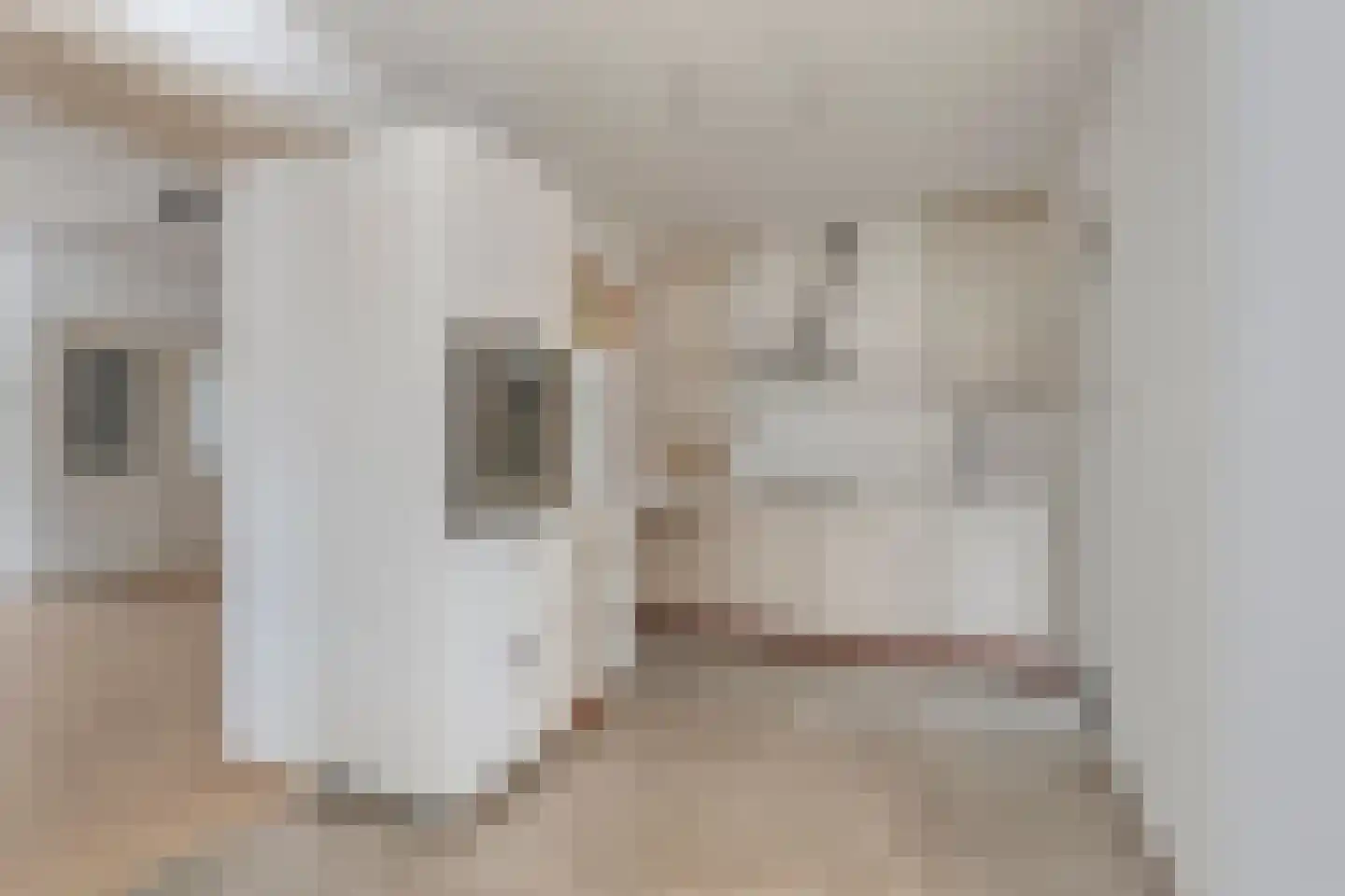 Dreef 70 Castenray thumbnail 11