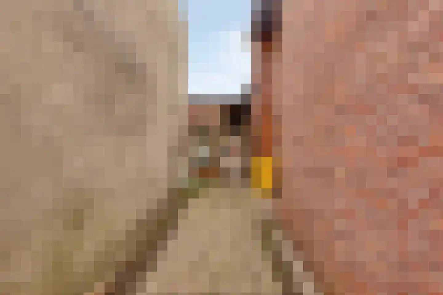 Dreef 70 Castenray thumbnail 18
