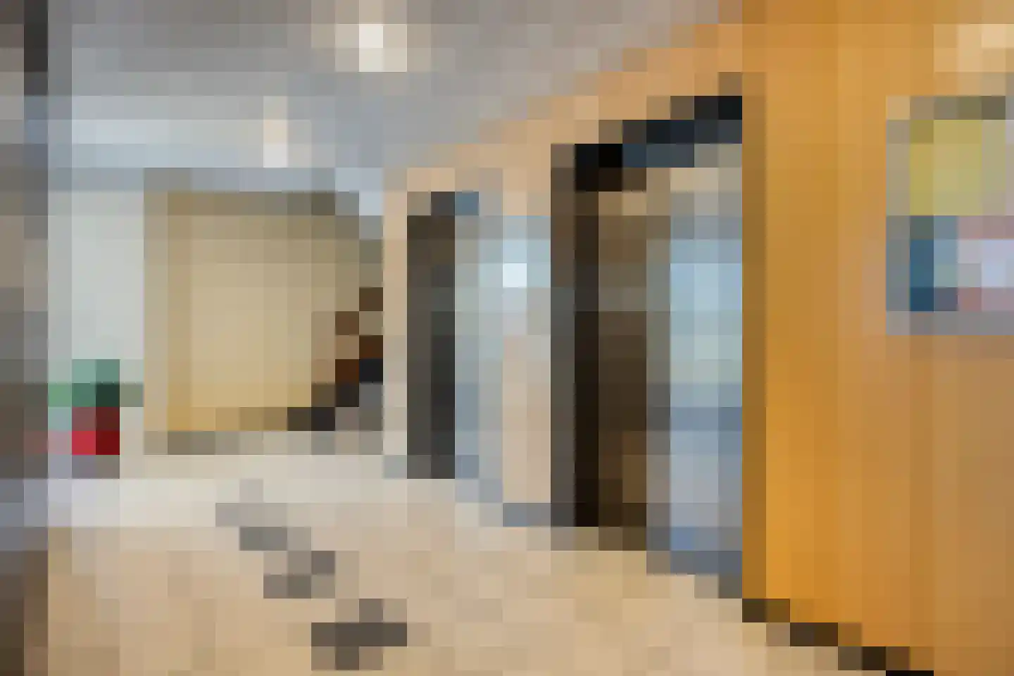 Dreef 70 Gouda thumbnail 13