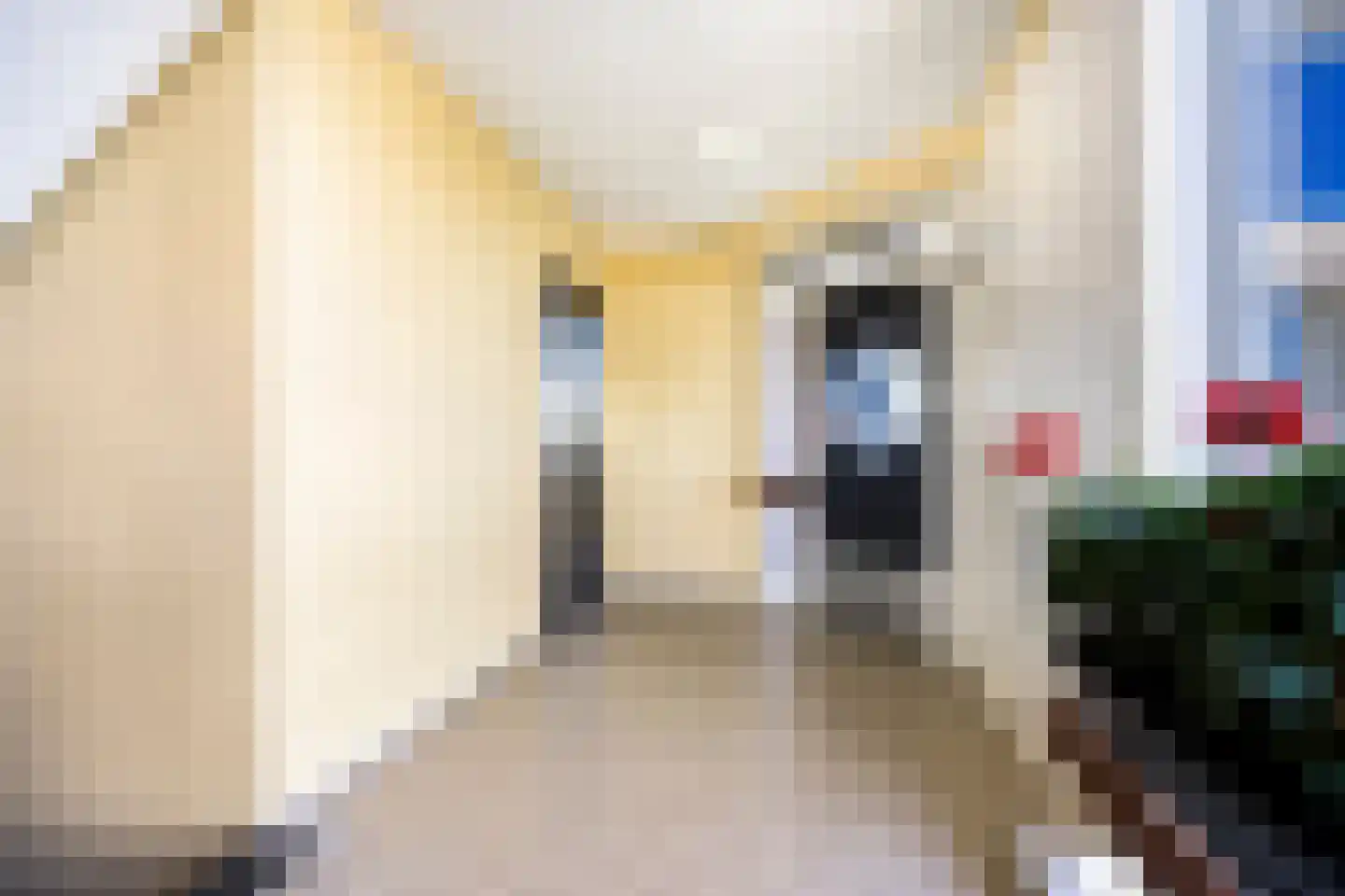 Dreef 70 Gouda thumbnail 14