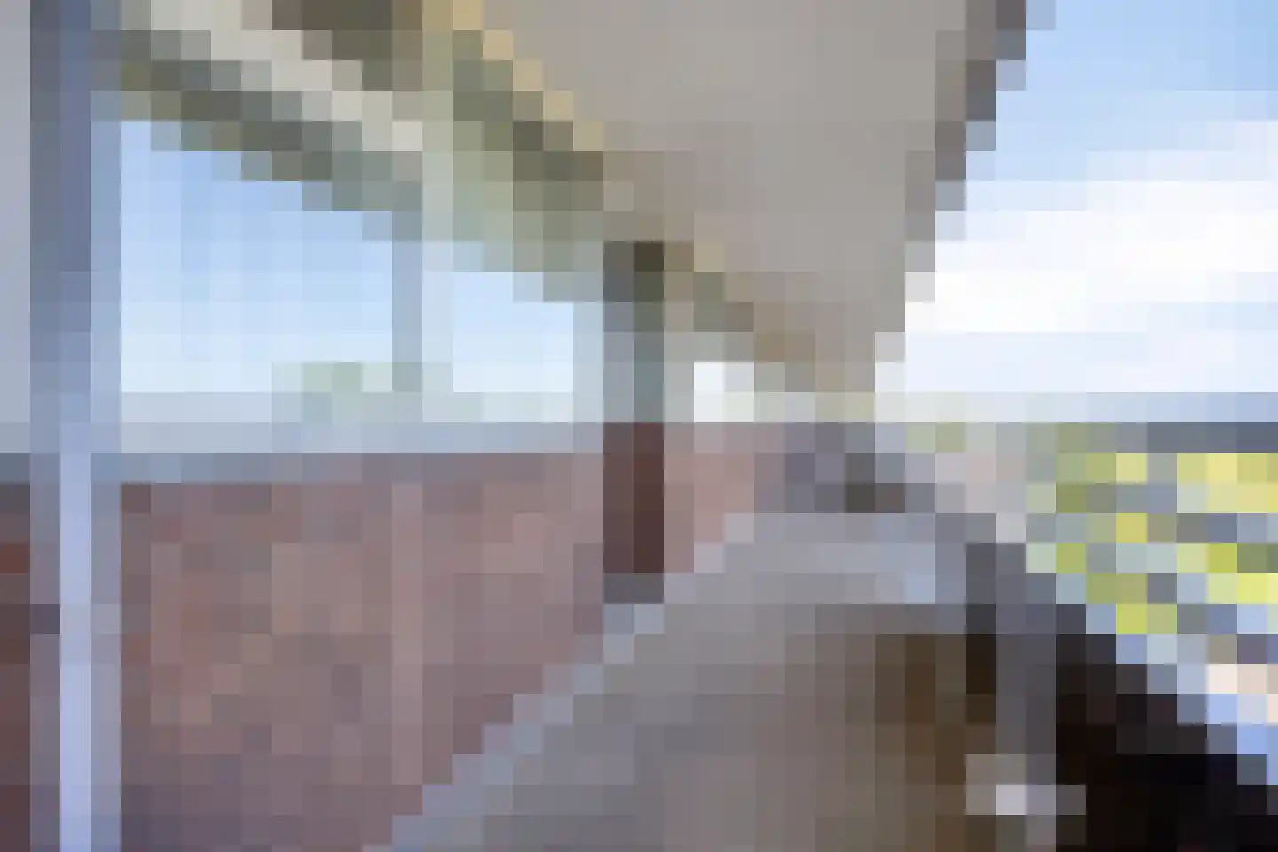 Dreef 70 Gouda thumbnail 16