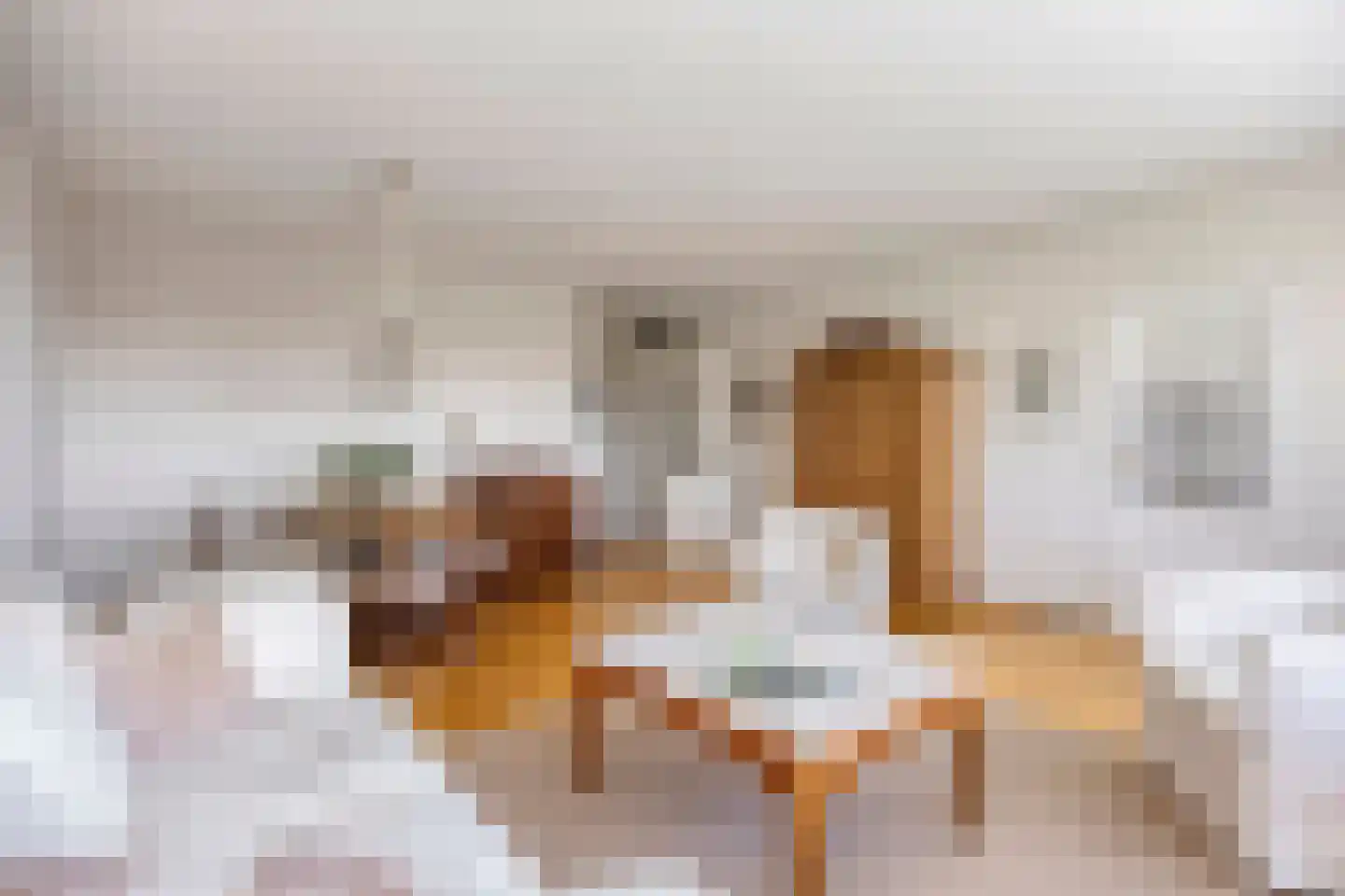 Dreef 70 Gouda thumbnail 21