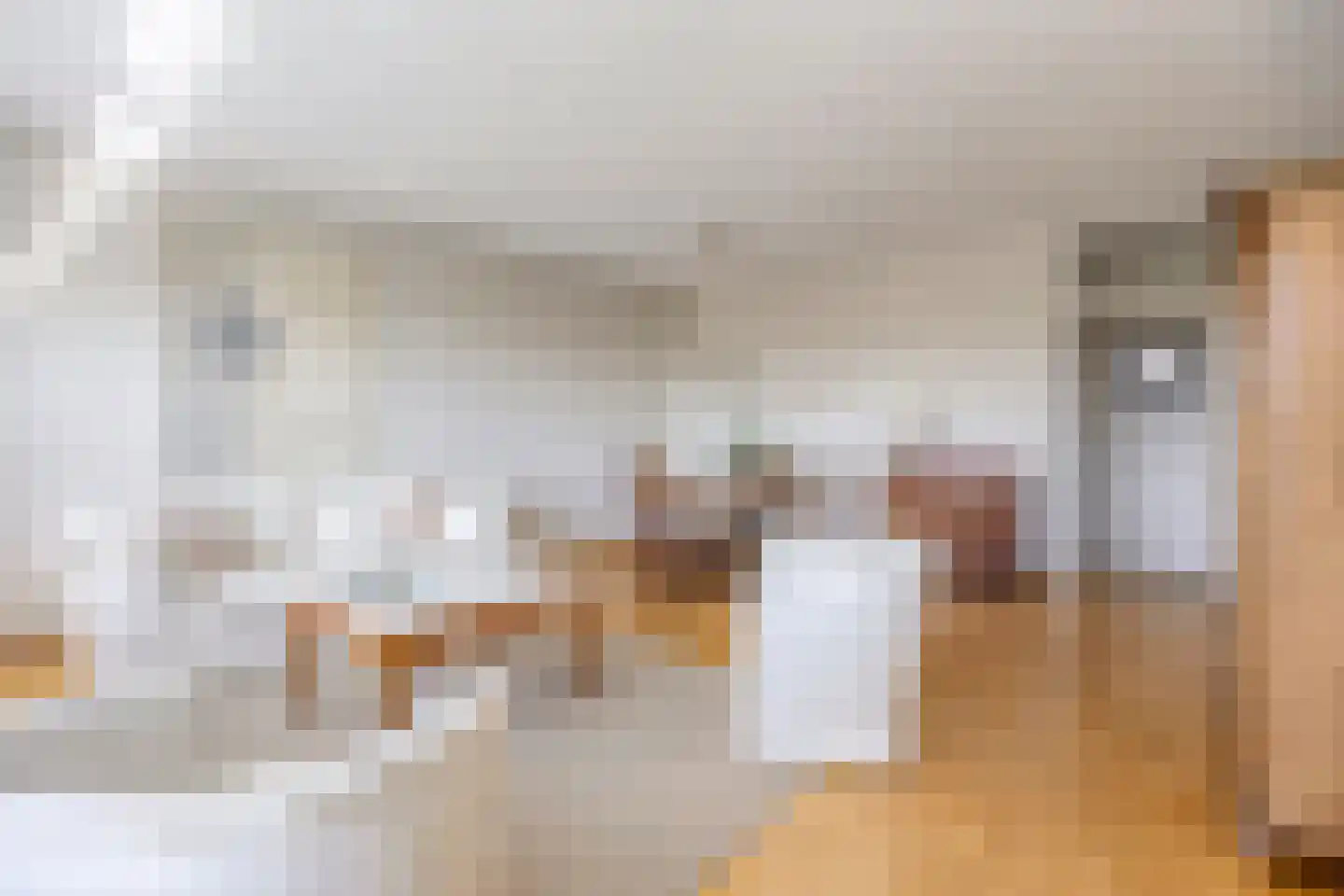 Dreef 70 Gouda thumbnail 22