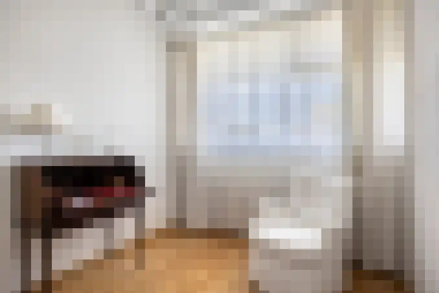 Dreef 70 Gouda thumbnail 27